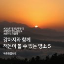 메종동물병원 이미지