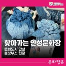 문화장 | 찾아가는 안성문화장 문화도시 안성 홍보부스 후기