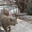 강가 | 진주 충무공동 맛집 강가명가 진주혁신점 후기