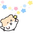 코우코알라 이미지