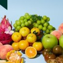 농협경제지주주식회사(소매체인본부) 이미지