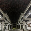 코타강쥐 이미지