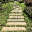 씨 라이프 이미지