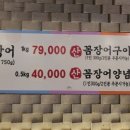 힘찬장어 이미지