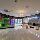 피터펫카페 이미지