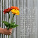 글한스푼 이미지