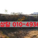 진흥목장 이미지