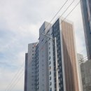 제천 장락동 세영리첼에듀퍼스트 6월12일 촬영｜입주 전 꼭 알아야 할 정보 + 새집증후군 제거 방법까지