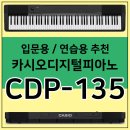 카시오 추천 디지털피아노 CDP-135 입문용 연습용 최고