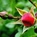 대지 행정사사무소 이미지