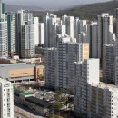 로또만물상 이미지