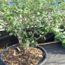 시온농장 이미지