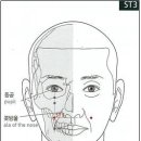 【족양명위경(足陽明胃經)】 〔 ST3 거료(巨髎) / Juliao 족양명위경-ST3〕" 얼굴 부위의 질환에 특효" 이미지
