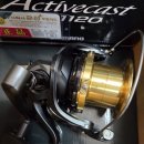 시마노 액티브캐스트 SD(2025년 신형) 이미지