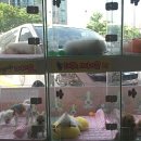 베스트 종합 동물병원 이미지