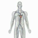 신비약국 이미지