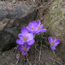 하이디하우스 이미지