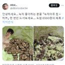 녹차마루 이미지