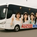 대화파크 | 평창 대화파크골프 투어, 웃음과 감동이 함께한 하루