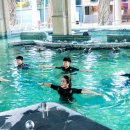 아쿠아로빅 이미지