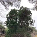 노암약국 이미지