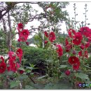 송현여자고등학교 이미지