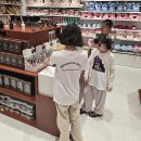 (주)게임토일렛 | [공지] 쿠알라룸푸르 프림로즈힐 국제학교 초등학생 등원 솔직후기 (트릴리온에서 5분거리)