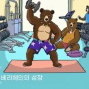라이징스타 이미지