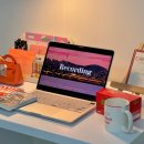 스테이에셀 이미지