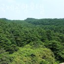 양양국제공항호텔 이미지