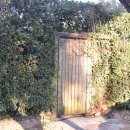 벨라유나 이미지