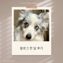 놀러와PC | 블로그 시작 한 달 후기