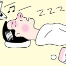 잠이솔솔 Daum카페