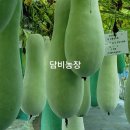 동아농장 이미지