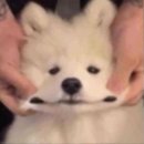 푸른햇살