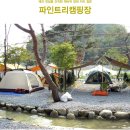 파인트리캠핑장 이미지