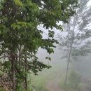 하누리 농장 이미지