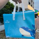 돌산중앙횟집 | 여수 바다김밥 돌산직영점 테이크아웃 메뉴별 후기 갓참치는 필수다