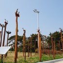 진또배기 이미지