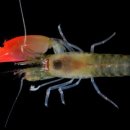 골프스토리 이미지