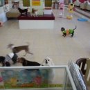 개털깎는남자 이미지