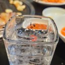 황금덜미 이미지