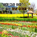 남지중학교 | "엄마 다리 아파" 소리 안 듣는 창녕 유채꽃 축제 최적 동선 (주차 &amp; 숙소 포함)