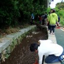 서홍동-8 이미지