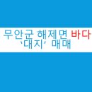 해제면사무소