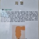 제주 항문 치료후기, 인화초등학교 근처 제주대항외과