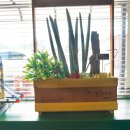 카페포숑 이미지