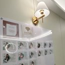 자세 개선 팔라테스 이미지