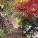 예담숲 | 강원도 홍천캠핑장 BEST, 예담숲캠핑장 가을 오토캠핑