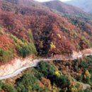 순천만 한우 농장 이미지